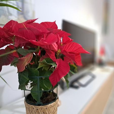 Romanico Centro 사모라 외부 사진